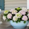 spring planter ideas for front porch
