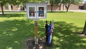 Little Free Pantry Ideas