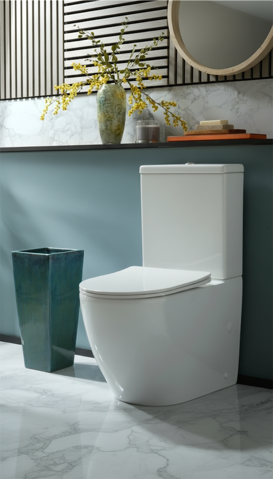 plant pot next to toilet bowl