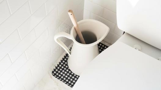 Toilet Plunger Storage