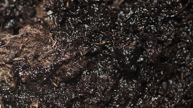 rich garden soil