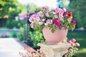 Front Porch Flower Pot Ideas