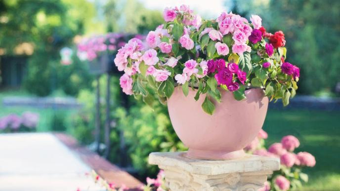 Front Porch Flower Pot Ideas