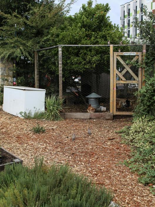 If you are starting a raised vegetable garden these 22 Beginner Friendly Raised Vegetable Garden ideas are perfect for giving you inspo!