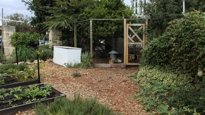 If you are starting a raised vegetable garden these 22 Beginner Friendly Raised Vegetable Garden ideas are perfect for giving you inspo!