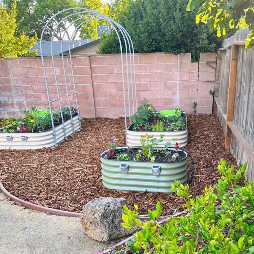 Raised metal garden beds
