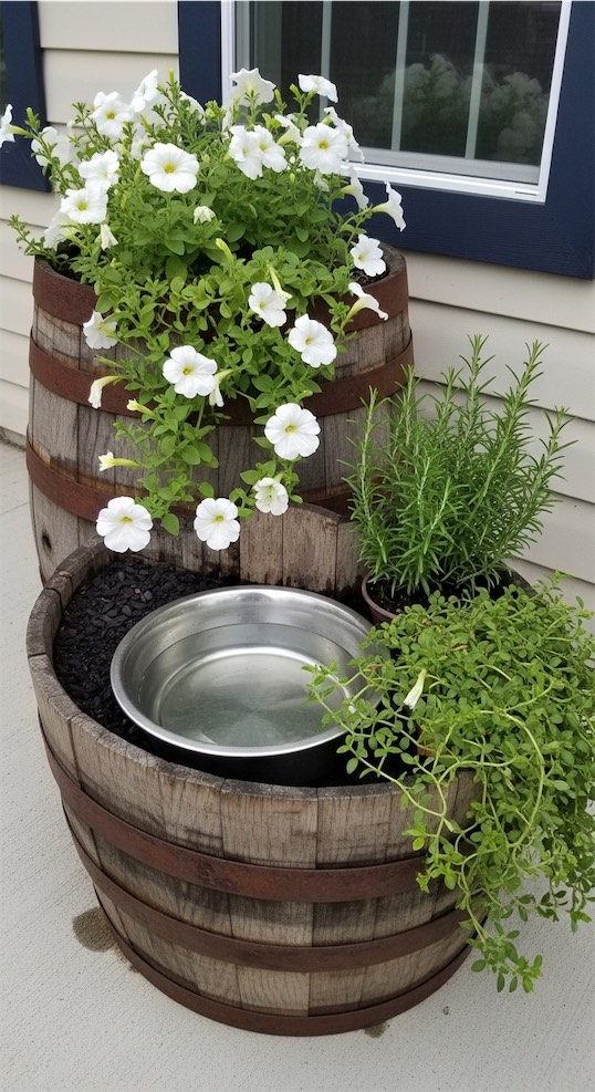 old whiskey barrel converted to planter