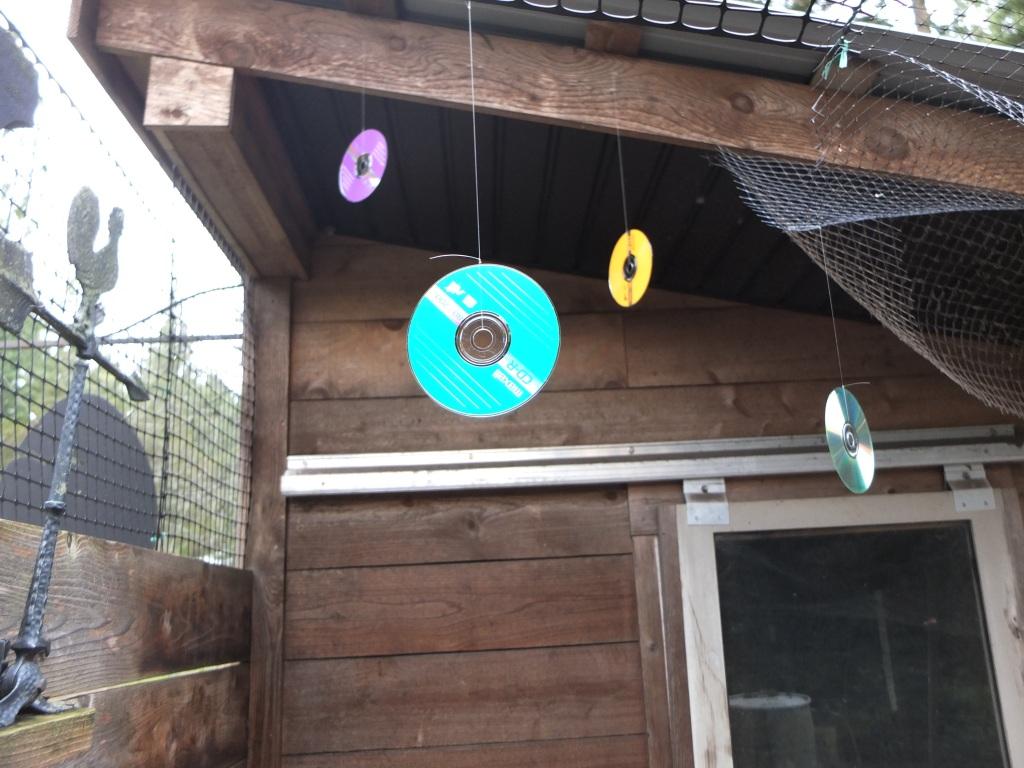 CDs hanging from roof for chickens