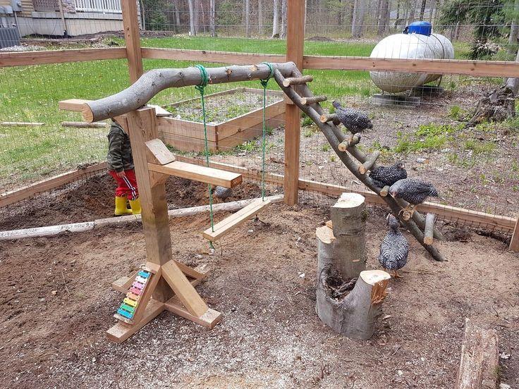 Chicken Playground branch climbing frame