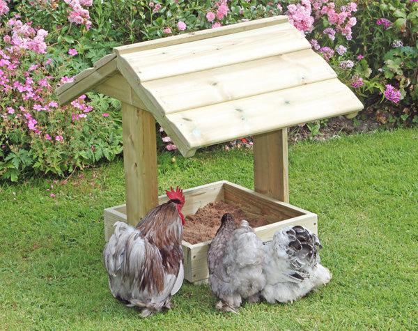 dust bath for chickens