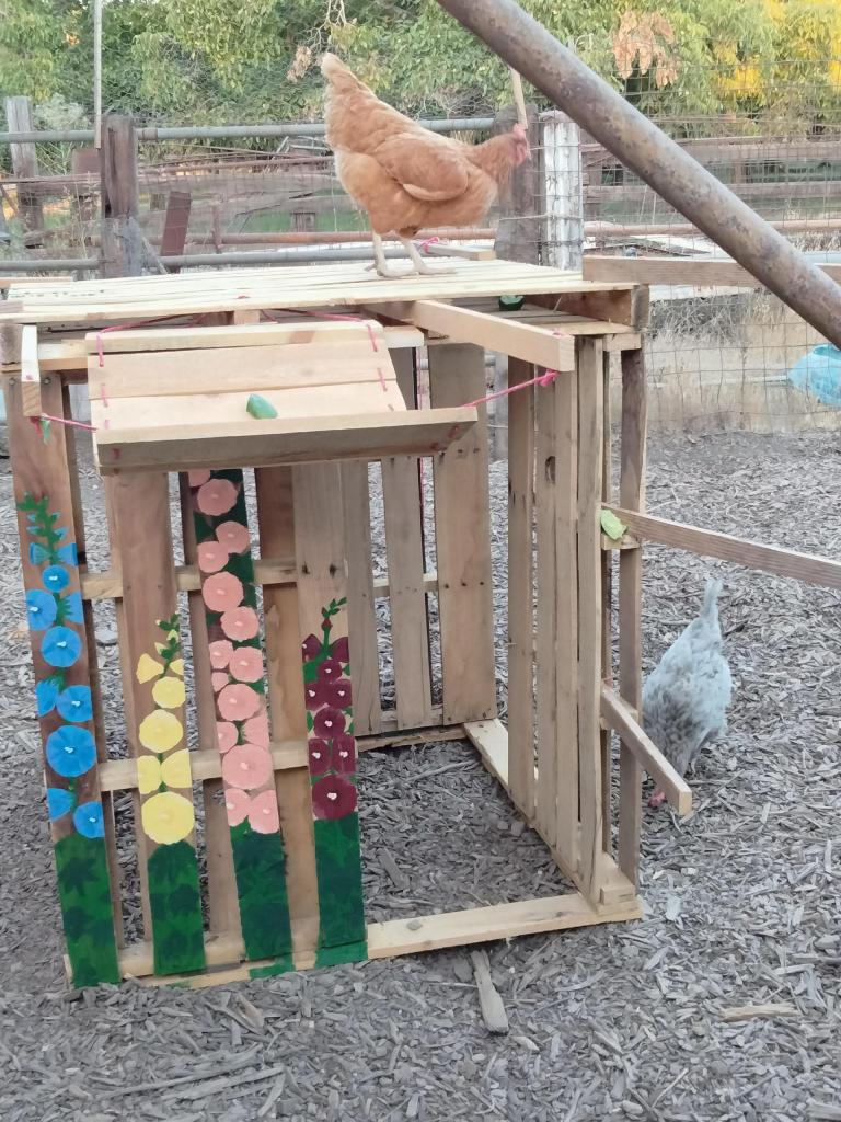 pallets made into climbing structure for chickens