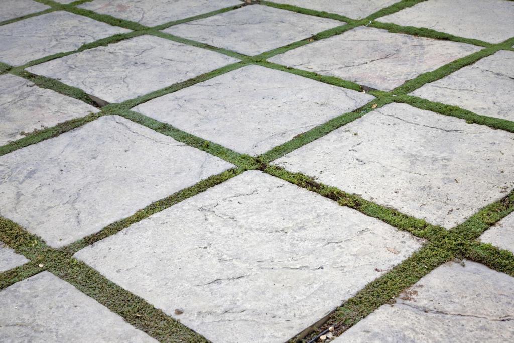 grass strips between pavers