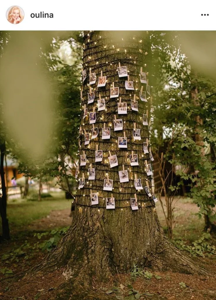 photo garland wrapped around tree trunk