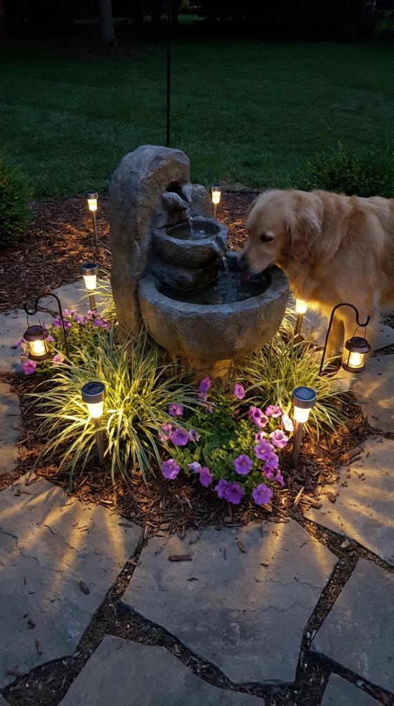 solar lights around fountain
