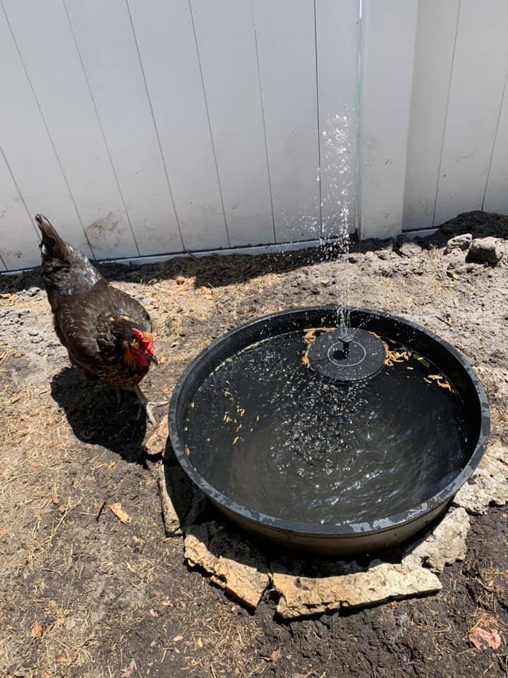 solar water fountain idea