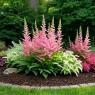 tall shade plant ideas