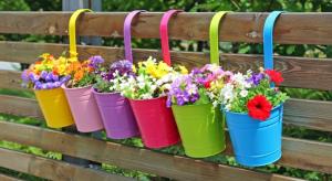 wall planter ideas
