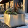 succulent planter ideas