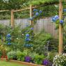 trellis for privacy ideas
