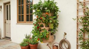 vertical vegetable garden ideas