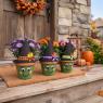 diy halloween porch decor