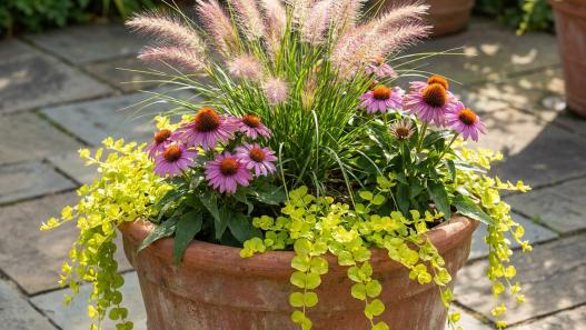 Thriller Filler Spiller Ideas for Planters