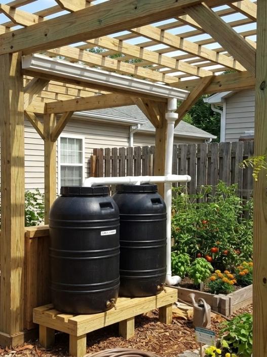 rainwater harvesting ideas