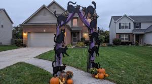 diy halloween cat archway