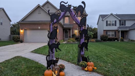diy halloween cat archway