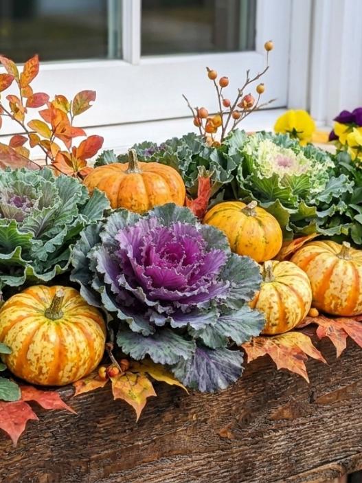 fall window box ideas