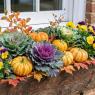 fall window box ideas